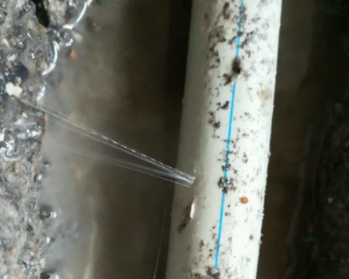 庐阳卫生间测漏水多少钱