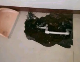 庐阳卫生间测漏水多少钱